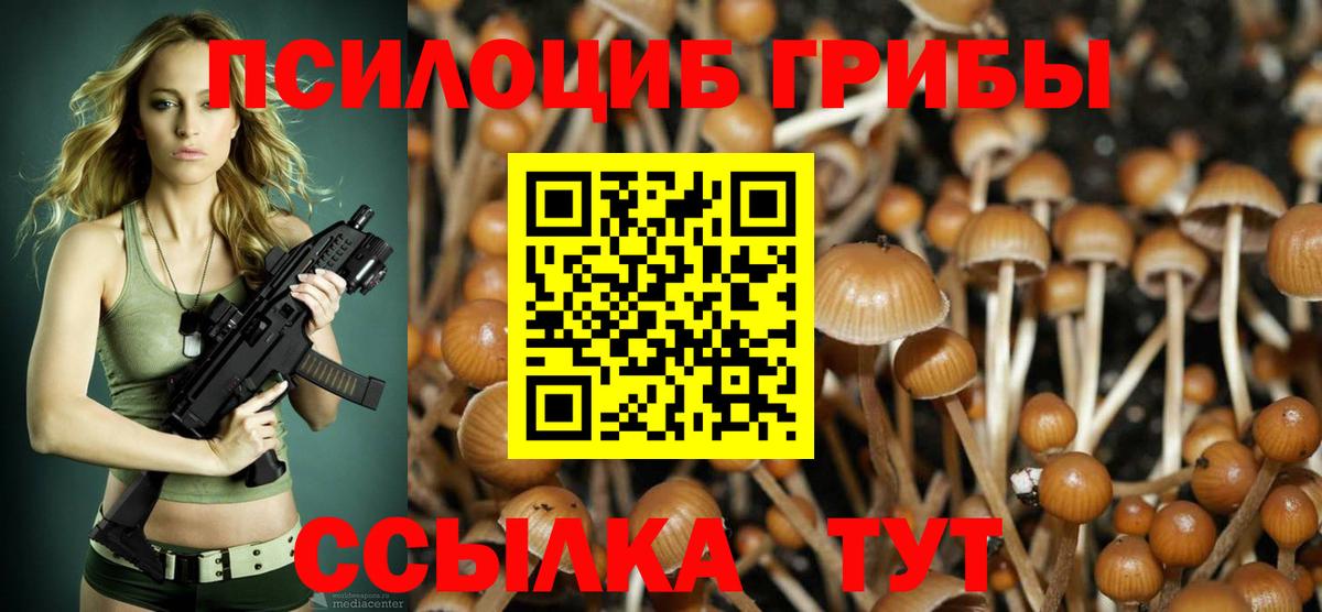 где можно купить наркотик  Вход с VPN  Унеча  Галлюциногенные грибы Psilocybe  Галлюциногенные грибы MAGIC MUSHROOMS 