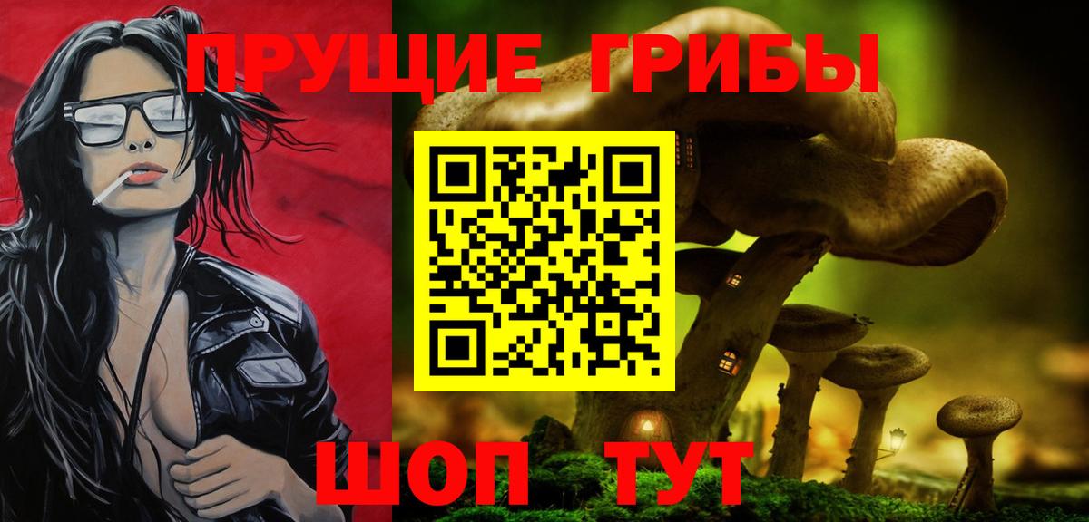 Галлюциногенные грибы Psilocybine cubensis Унеча